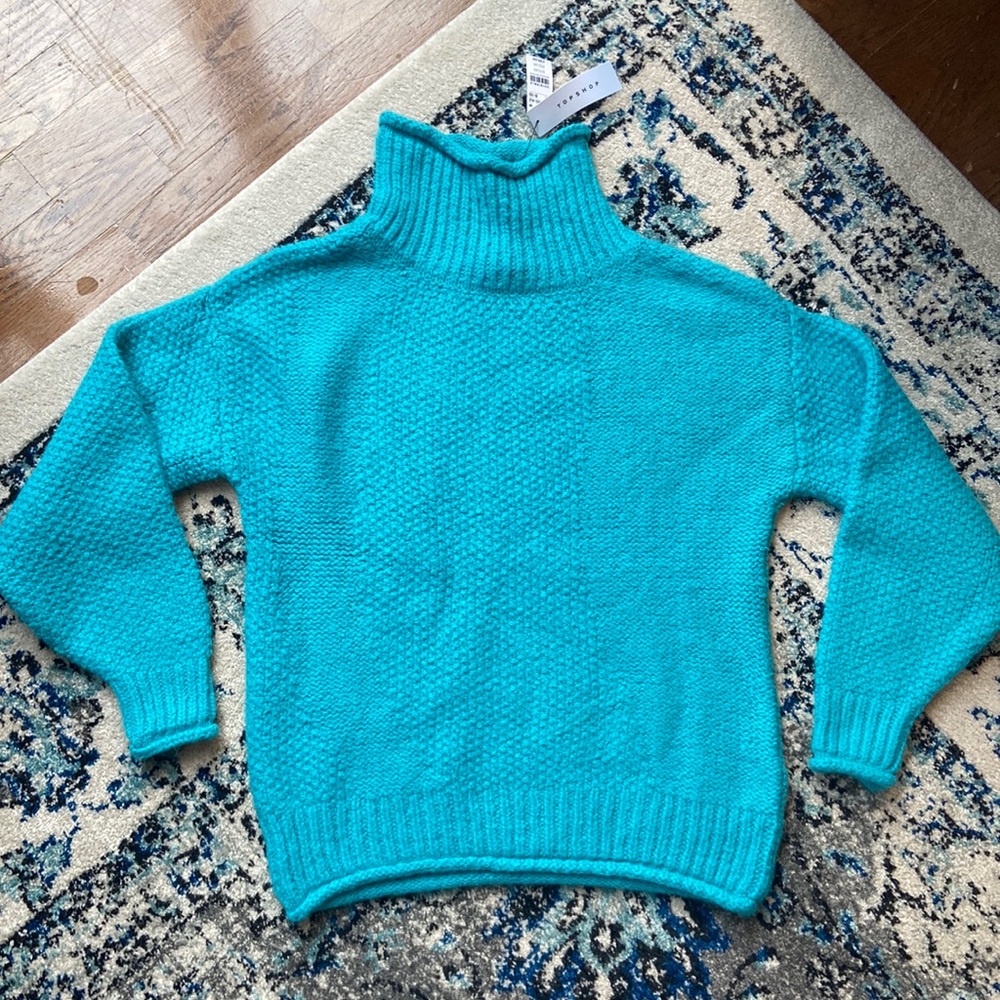 TopShop Turtleneck Sweater